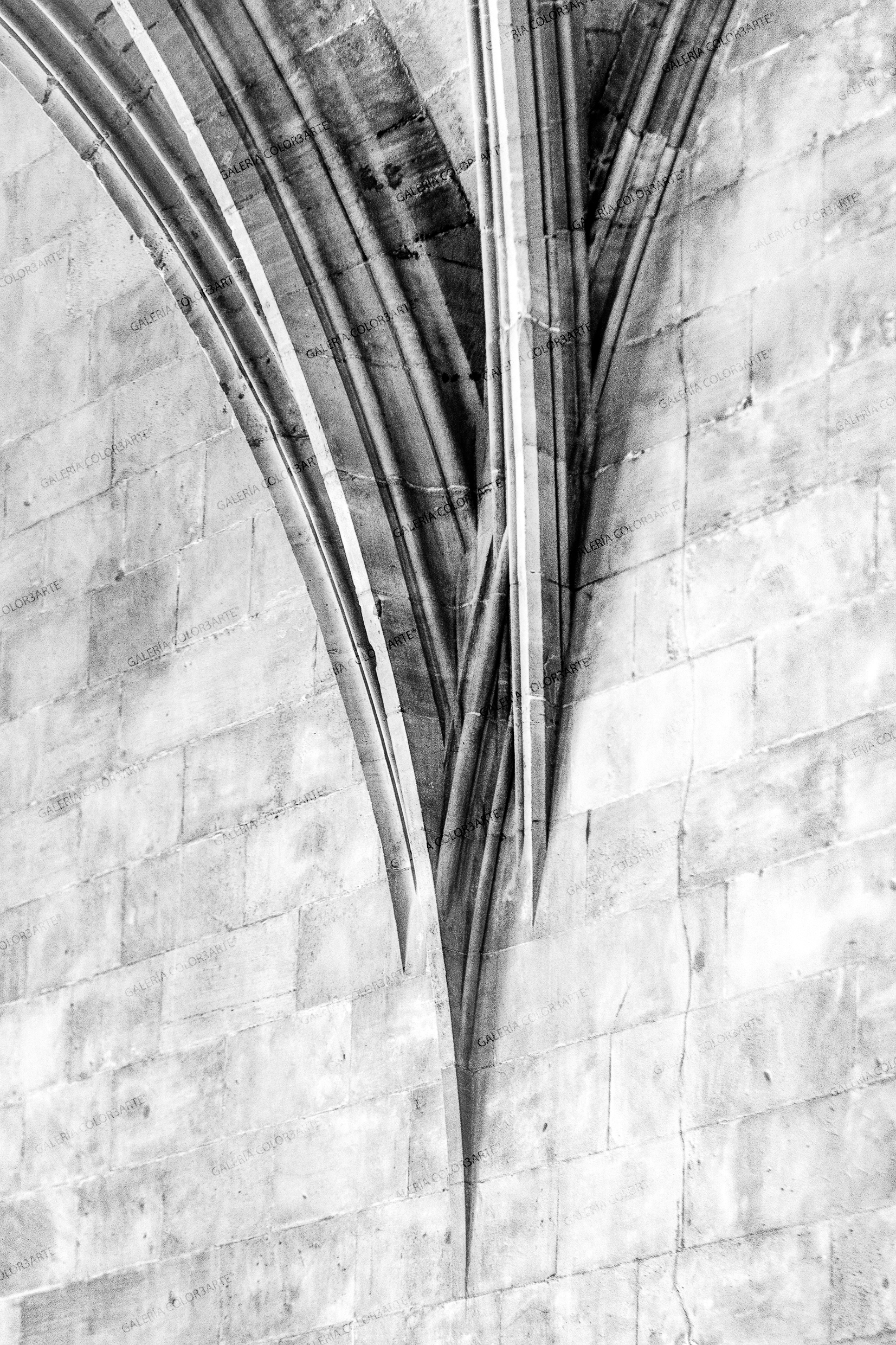 Xisco Fuster obra Fotográfica