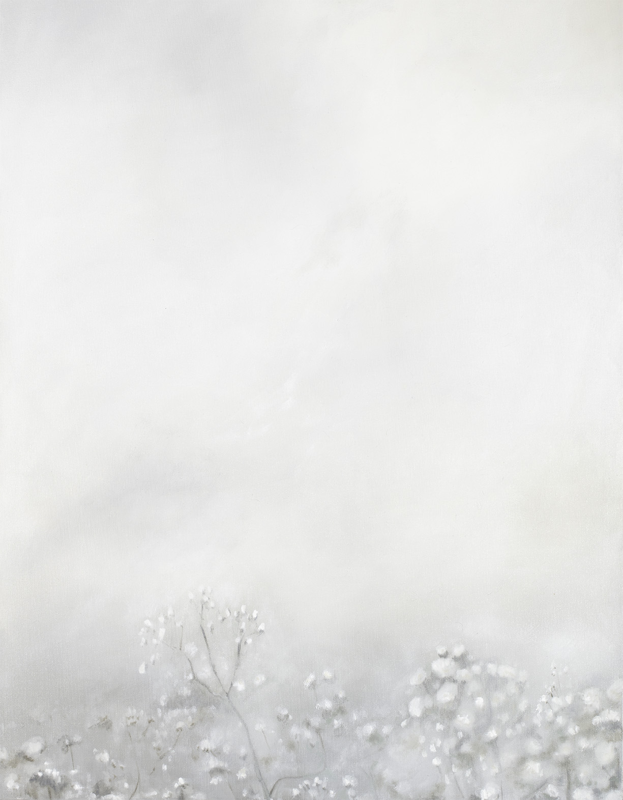 Impresión giclée titulada "Detrás" por Diana Coandă. Una obra minimalista que muestra flores difusas en tonos blancos sobre un fondo blanco. Impresión artística de alta calidad con tintas pigmentadas Ultrachrome K3 Pro12 sobre papel Photorag® Ultra Smooth de Hahnemühle. Ofrecida por la empresa Color3arte.