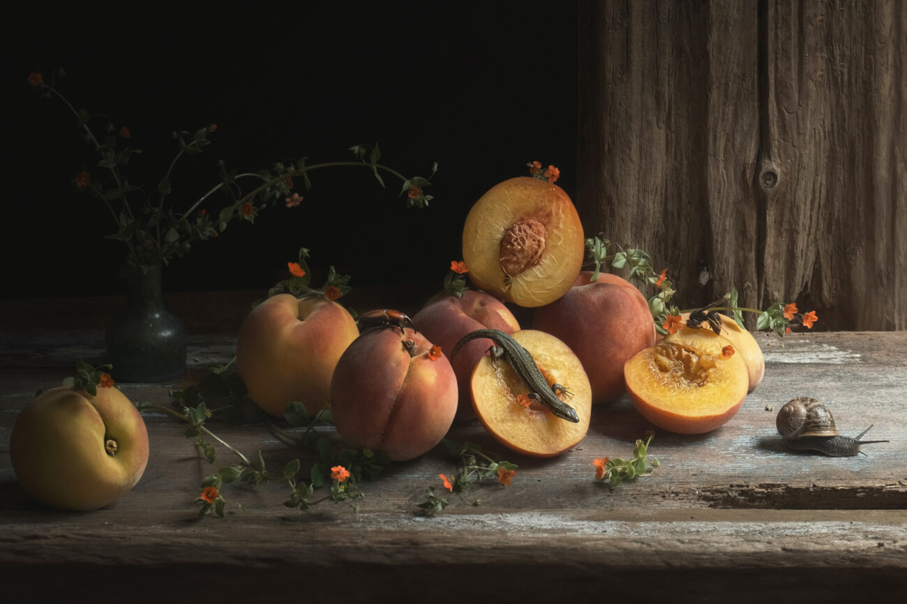 Un grupo de duraznos, algunos cortados por la mitad, acompañados de una lagartija y pequeños insectos. La escena está iluminada por luz natural que entra desde la izquierda.