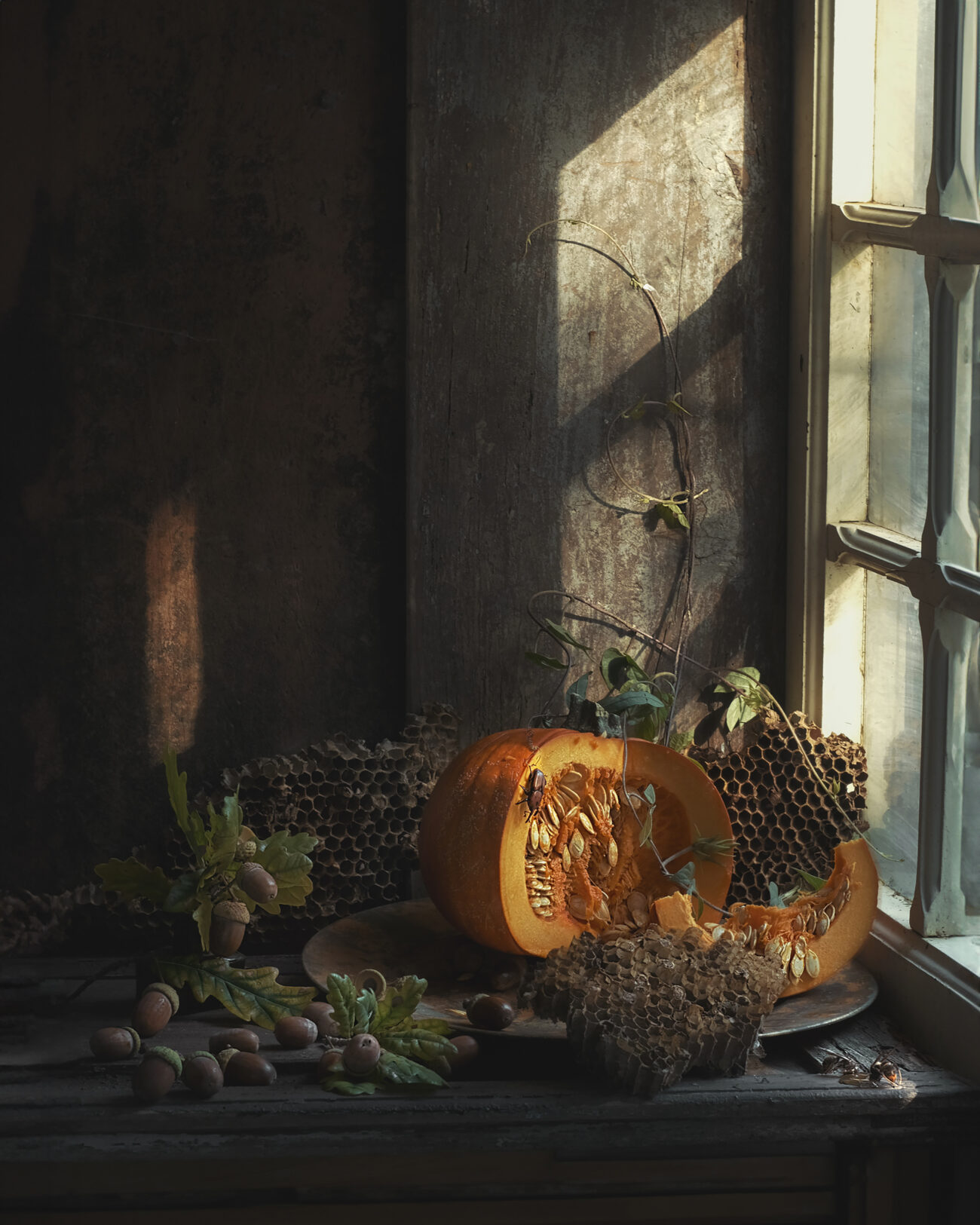 Calabaza partida en el alféizar de una ventana, acompañada de bellotas y un panal de abejas. La luz del sol entra por la ventana iluminando la escena rústica.